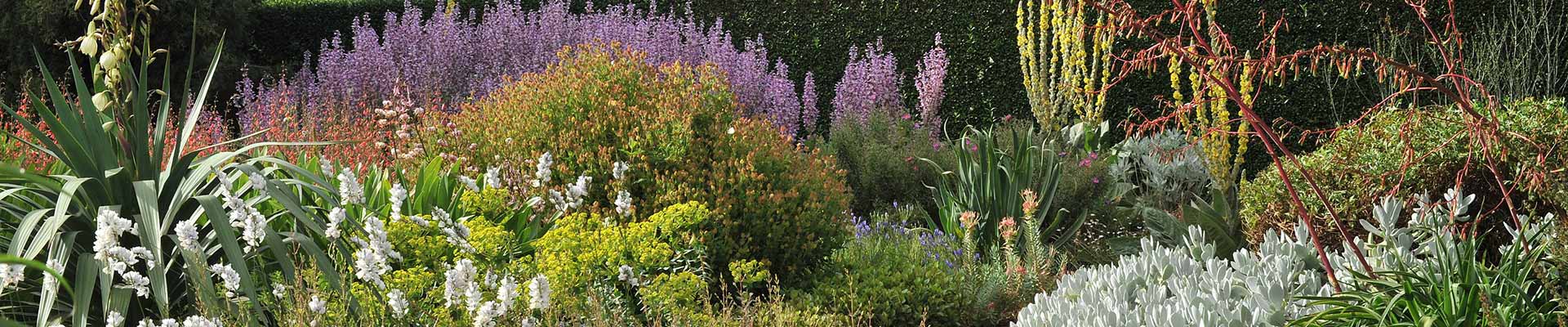 xeriscaping in Ashland Oregon