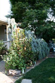 garden drainage installation