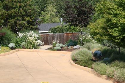 paved area drainage in garden landscape