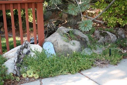 drip irrigation for xeriscape rock garden