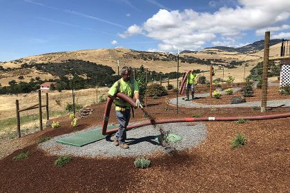 blowing bark mulch on xeriscape