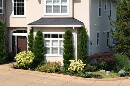 formal front entry landscaping with plants and formed cement