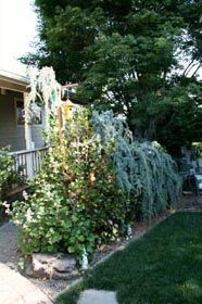 garden drainage installation
